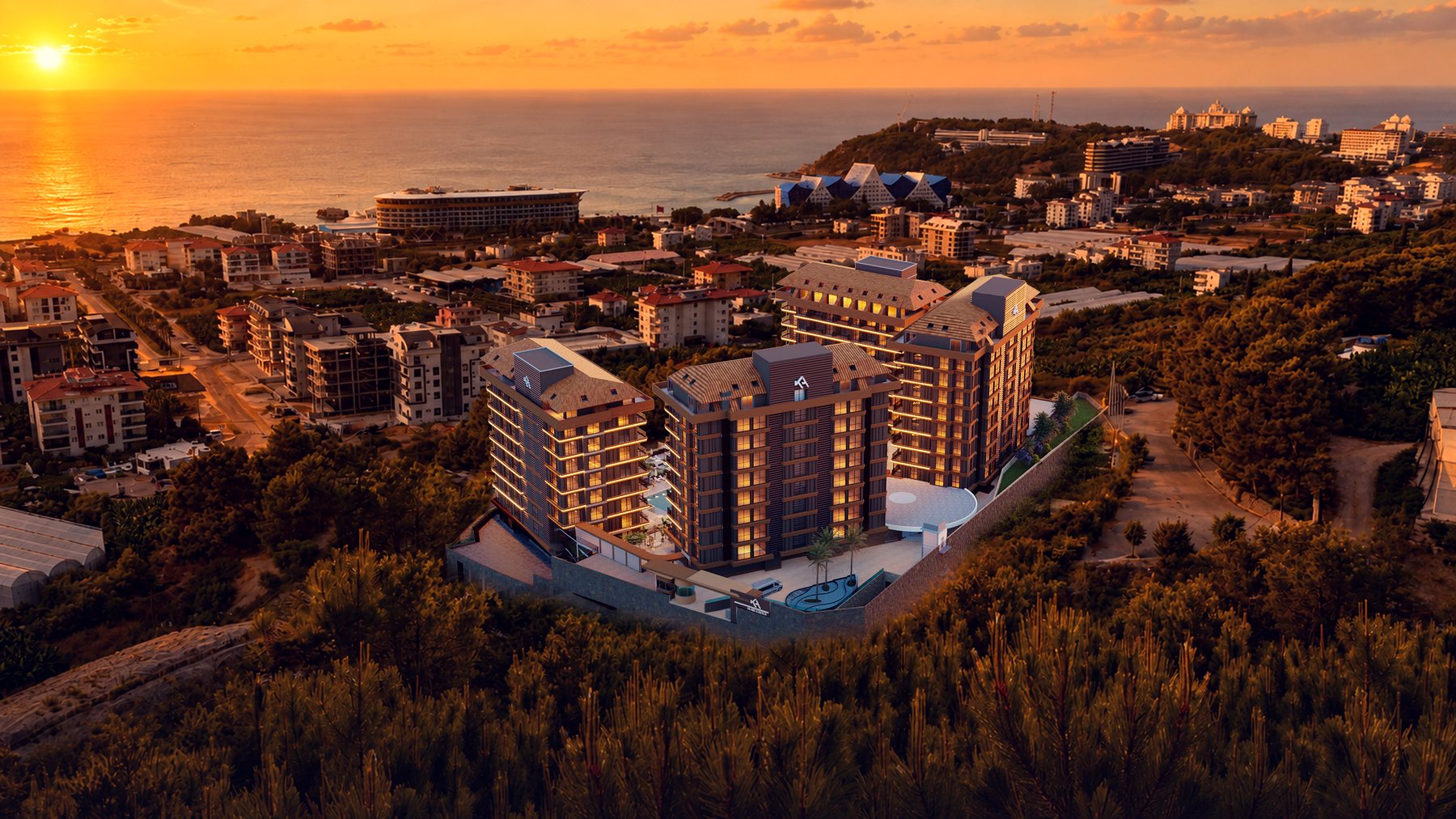Delmare Collection